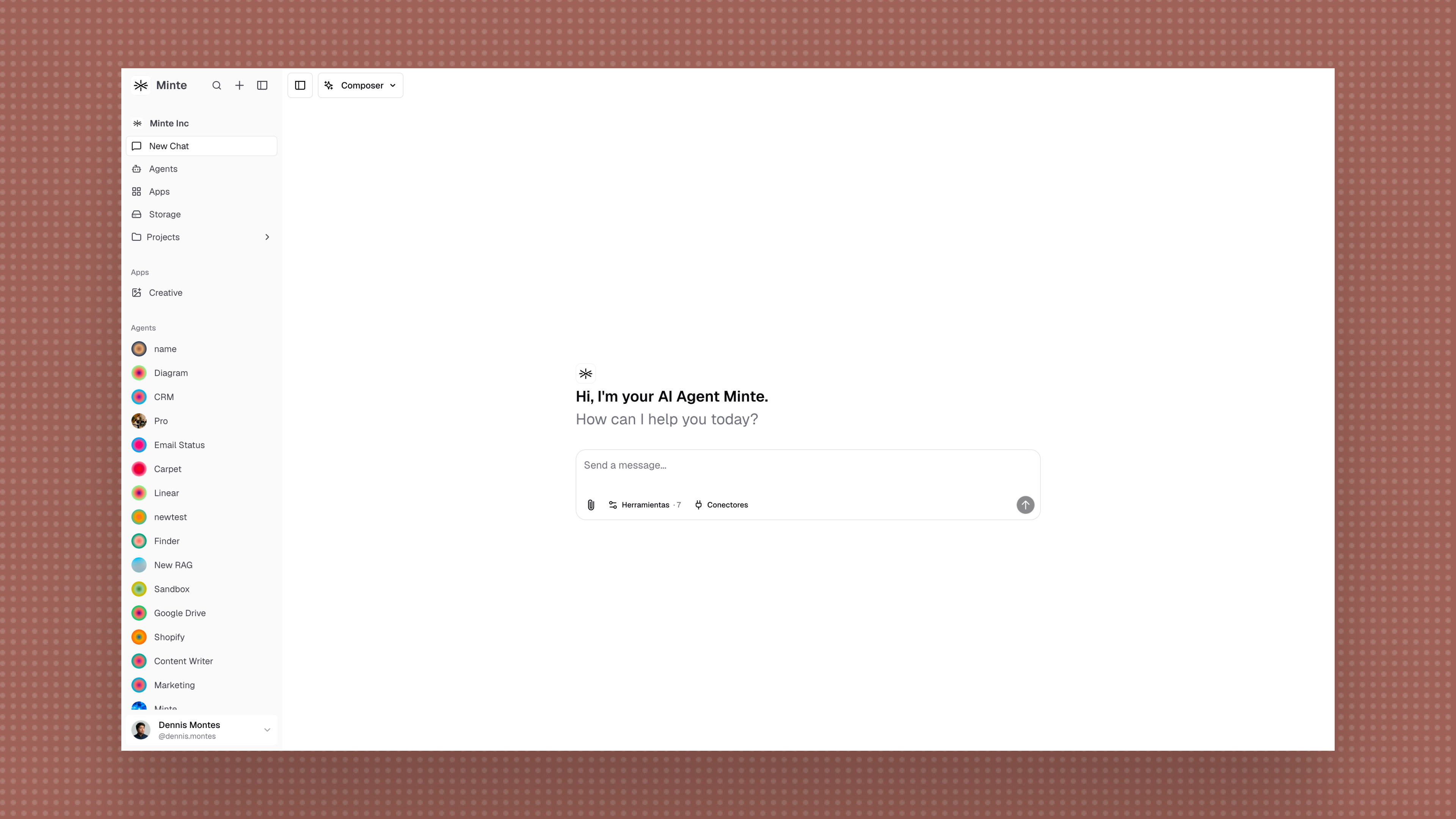 Minte Chat - conversacion con Minte